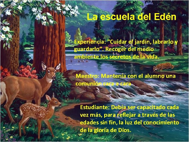 La escuela del Edén Experiencia: “Cuidar el jardín, labrarlo y guardarlo”. Recoger del medio