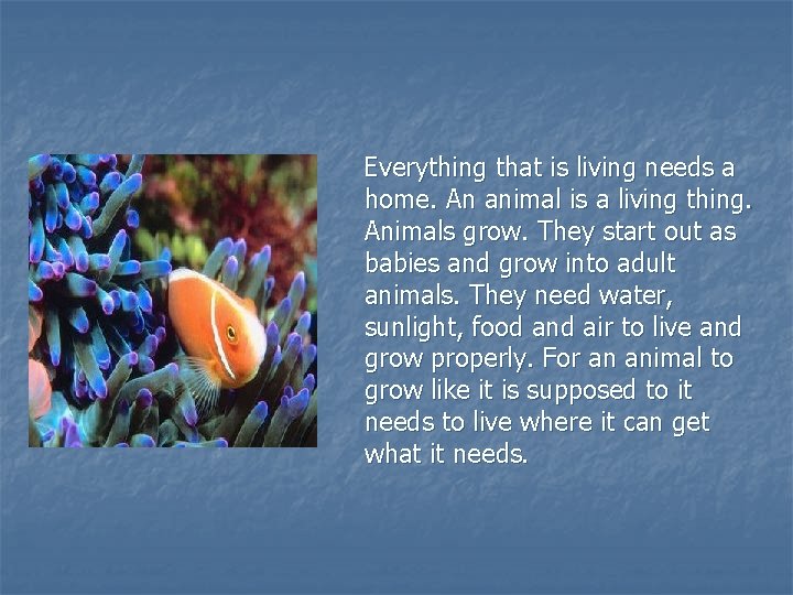  Everything that is living needs a home. An animal is a living thing.