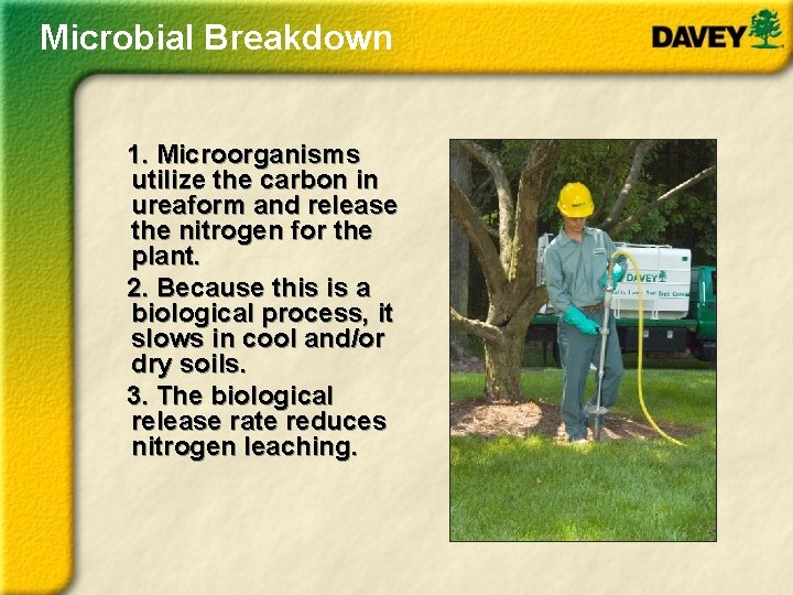 Microbial Breakdown 1. Microorganisms utilize the carbon in ureaform and release the nitrogen for
