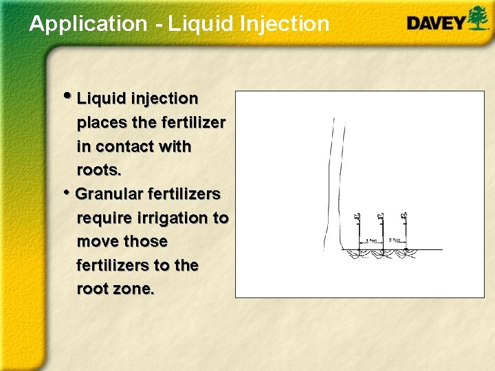 Application - Liquid Injection • Liquid injection places the fertilizer in contact with roots.