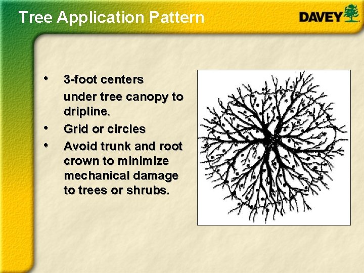 Tree Application Pattern • 3 -foot centers under tree canopy to dripline. • Grid
