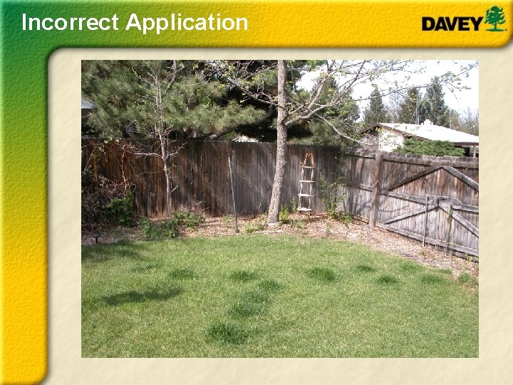 Incorrect Application 