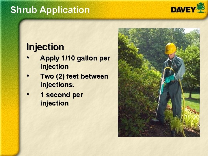 Shrub Application Injection • Apply 1/10 gallon per • • injection Two (2) feet