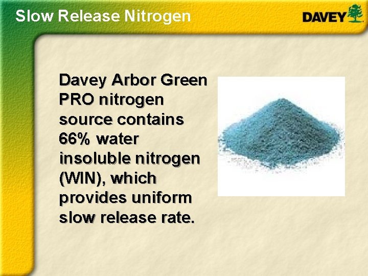 Slow Release Nitrogen Davey Arbor Green PRO nitrogen source contains 66% water insoluble nitrogen