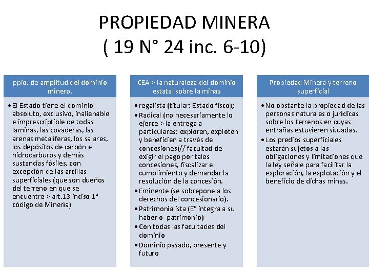 PROPIEDAD MINERA ( 19 N° 24 inc. 6 -10) ppio. de amplitud del dominio