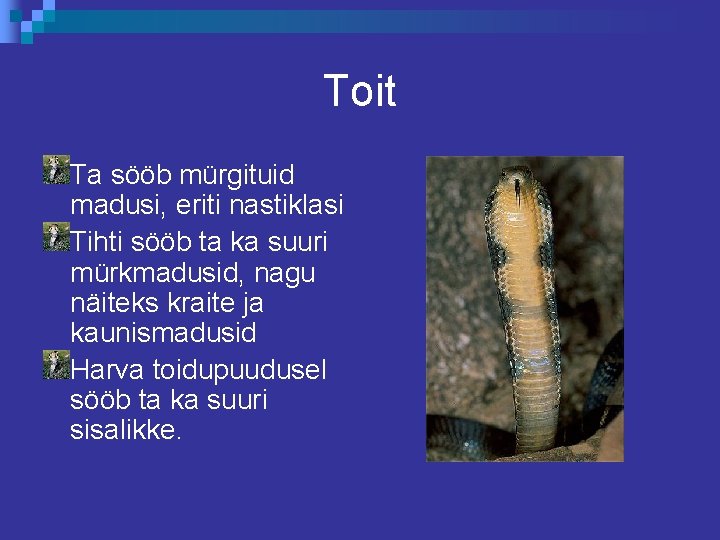 Toit Ta sööb mürgituid madusi, eriti nastiklasi Tihti sööb ta ka suuri mürkmadusid, nagu