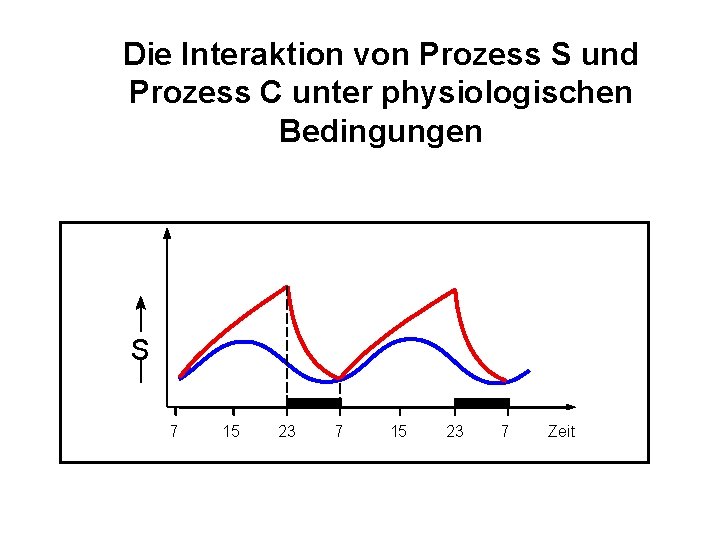 Die Interaktion von Prozess S und Prozess C unter physiologischen Bedingungen S 7 15