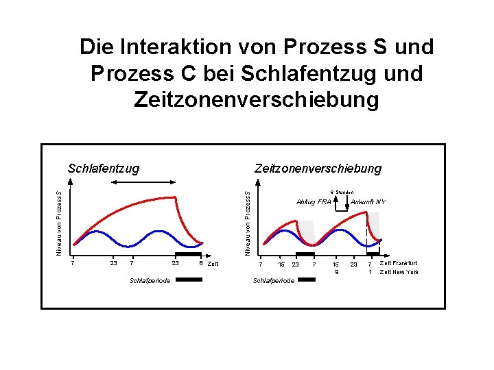 Die Interaktion von Prozess S und Prozess C bei Schlafentzug und Zeitzonenverschiebung 6 Stunden