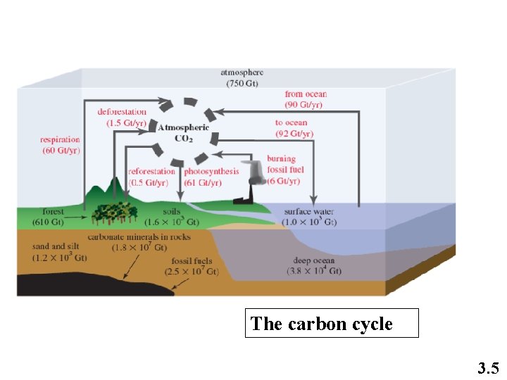 The carbon cycle 3. 5 