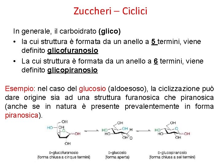 Zuccheri – Ciclici In generale, il carboidrato (glico) • la cui struttura è formata
