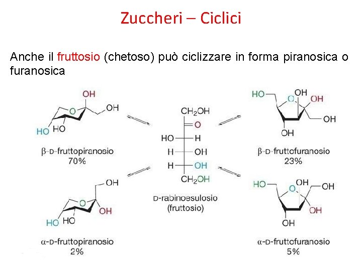 Zuccheri – Ciclici Anche il fruttosio (chetoso) può ciclizzare in forma piranosica o furanosica