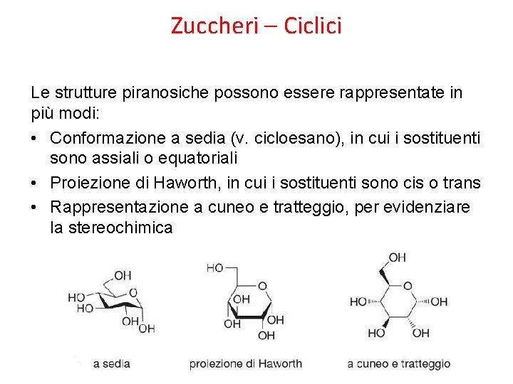 Zuccheri – Ciclici Le strutture piranosiche possono essere rappresentate in più modi: • Conformazione