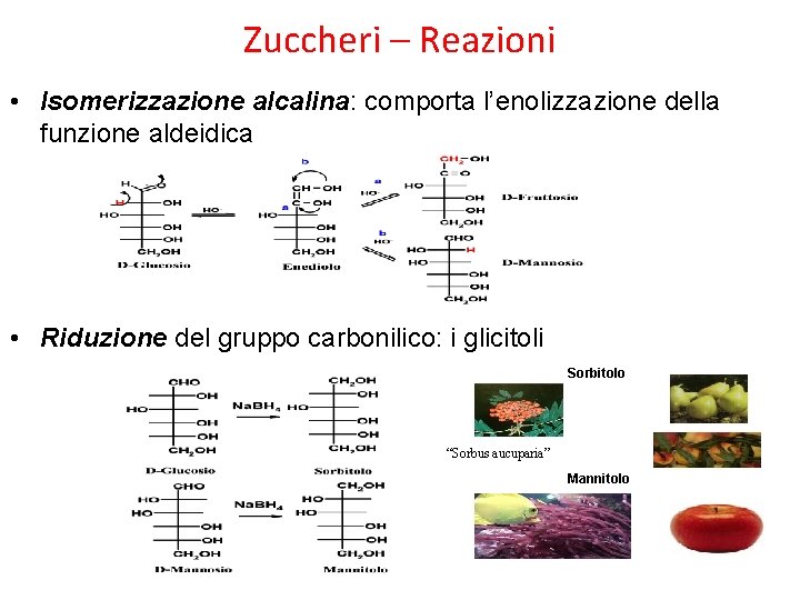 Zuccheri – Reazioni • Isomerizzazione alcalina: comporta l’enolizzazione della funzione aldeidica • Riduzione del