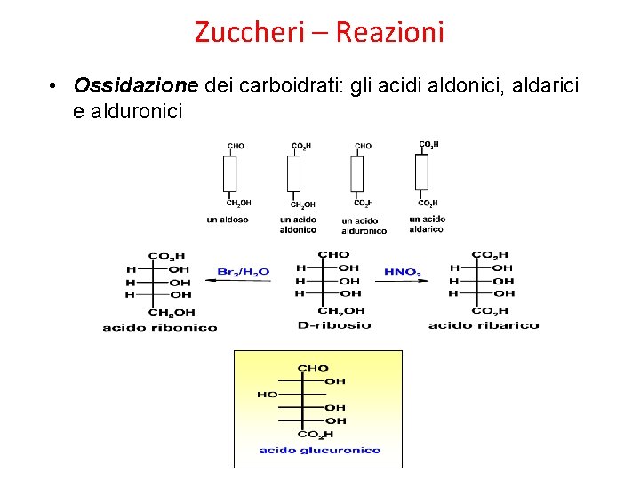 Zuccheri – Reazioni • Ossidazione dei carboidrati: gli acidi aldonici, aldarici e alduronici 