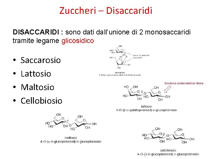 Zuccheri – Disaccaridi DISACCARIDI : sono dati dall’unione di 2 monosaccaridi tramite legame glicosidico