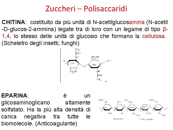 Zuccheri – Polisaccaridi CHITINA: costituito da più unità di N-acetilglucosamina (N-acetil -D-glucos-2 -ammina) legate