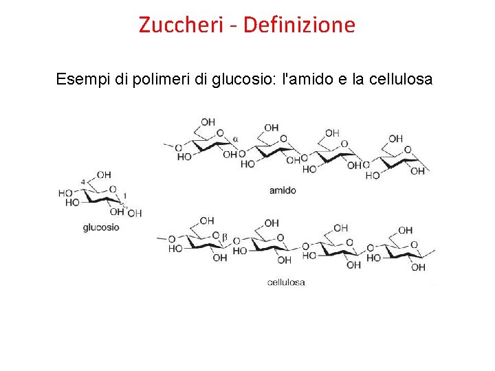 Zuccheri - Definizione Esempi di polimeri di glucosio: l'amido e la cellulosa 