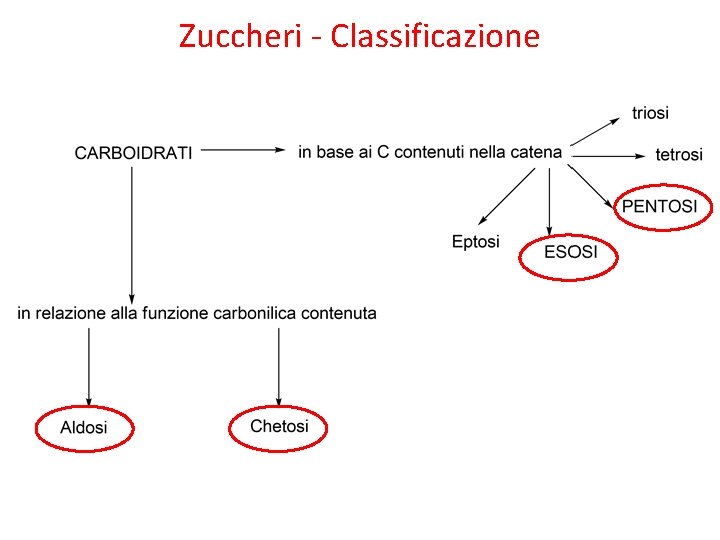 Zuccheri - Classificazione 