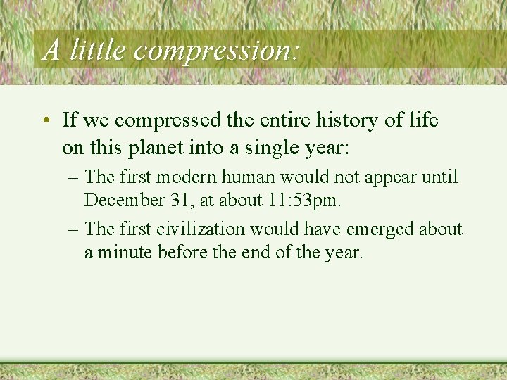 A little compression: • If we compressed the entire history of life on this