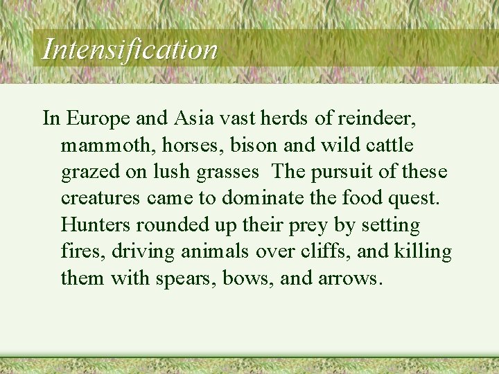 Intensification In Europe and Asia vast herds of reindeer, mammoth, horses, bison and wild