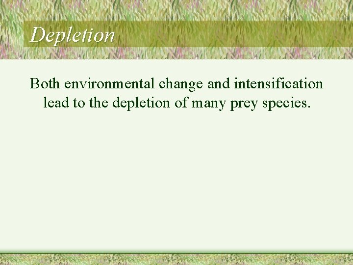 Depletion Both environmental change and intensification lead to the depletion of many prey species.