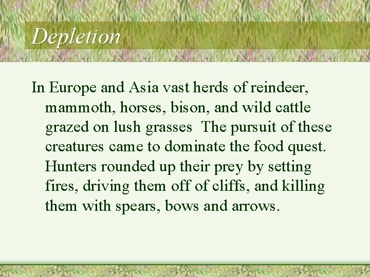 Depletion In Europe and Asia vast herds of reindeer, mammoth, horses, bison, and wild