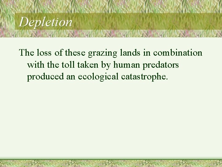 Depletion The loss of these grazing lands in combination with the toll taken by