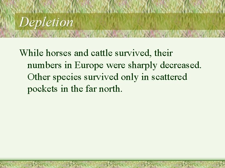 Depletion While horses and cattle survived, their numbers in Europe were sharply decreased. Other