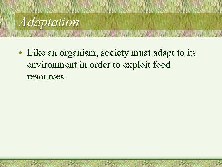 Adaptation • Like an organism, society must adapt to its environment in order to