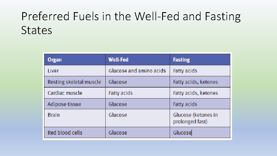 Preferred Fuels in the Well-Fed and Fasting States 