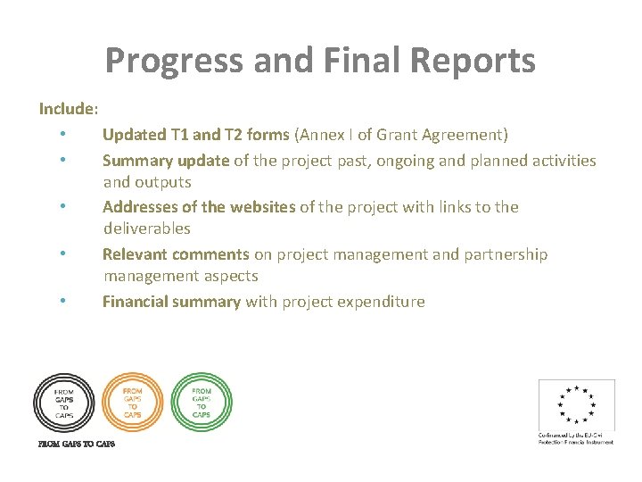 Progress and Final Reports Include: • Updated T 1 and T 2 forms (Annex