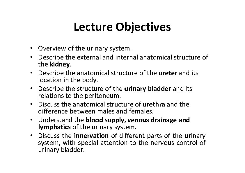 Lecture Objectives • Overview of the urinary system. • Describe the external and internal