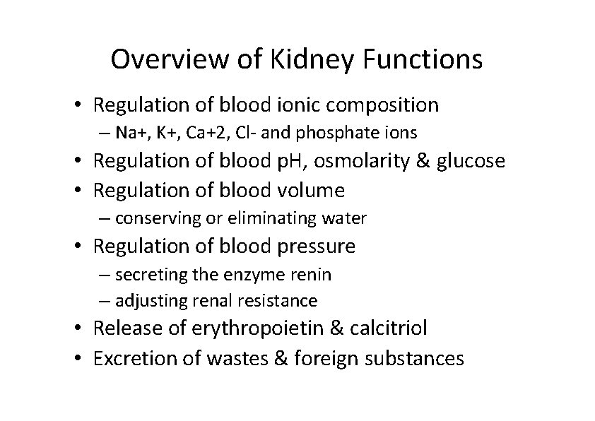 Overview of Kidney Functions • Regulation of blood ionic composition – Na+, K+, Ca+2,