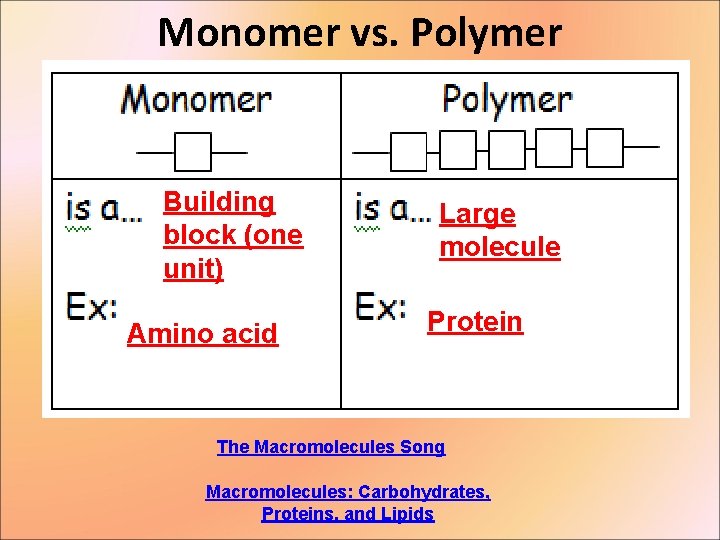 Monomer vs. Polymer Building block (one unit) Amino acid Large molecule Protein The Macromolecules