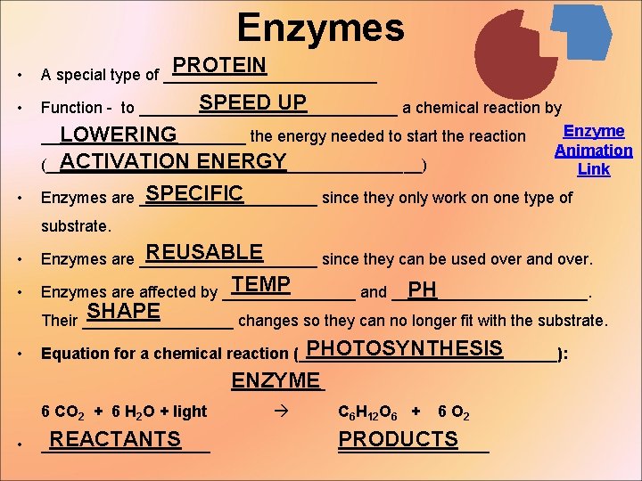 Enzymes • PROTEIN A special type of ____________ • SPEED UP Function - to