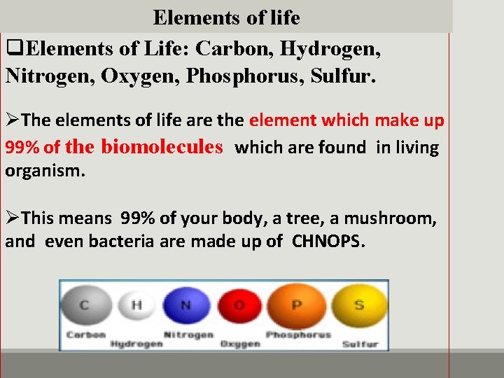 Elements of life q. Elements of Life: Carbon, Hydrogen, Nitrogen, Oxygen, Phosphorus, Sulfur. ØThe