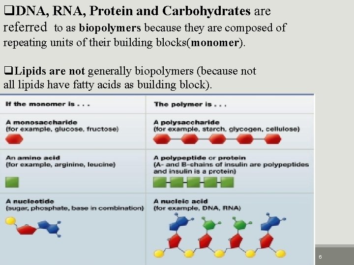 q. DNA, RNA, Protein and Carbohydrates are referred to as biopolymers because they are
