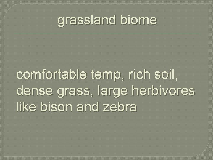 grassland biome comfortable temp, rich soil, dense grass, large herbivores like bison and zebra