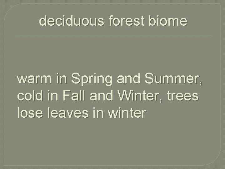 deciduous forest biome warm in Spring and Summer, cold in Fall and Winter, trees
