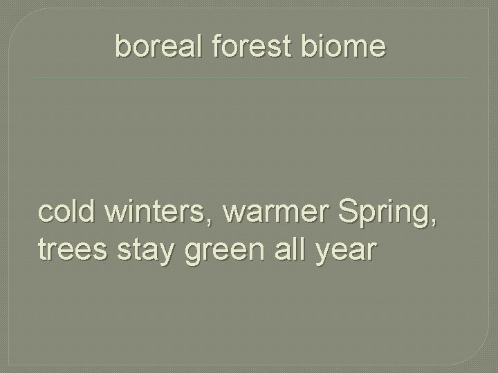 boreal forest biome cold winters, warmer Spring, trees stay green all year 