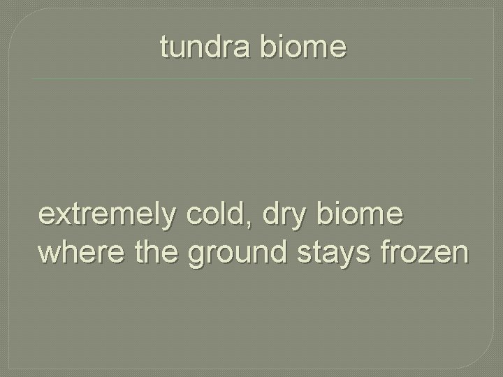 tundra biome extremely cold, dry biome where the ground stays frozen 