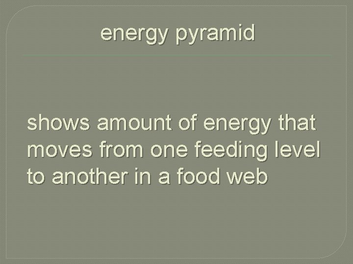 energy pyramid shows amount of energy that moves from one feeding level to another