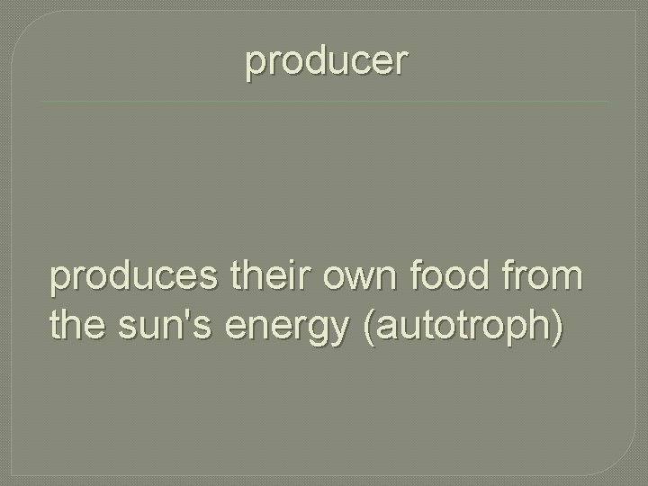 producer produces their own food from the sun's energy (autotroph) 