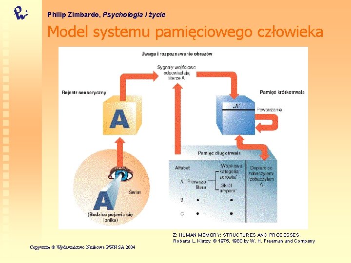 Philip Zimbardo, Psychologia i życie Model systemu pamięciowego człowieka Z: HUMAN MEMORY: STRUCTURES AND