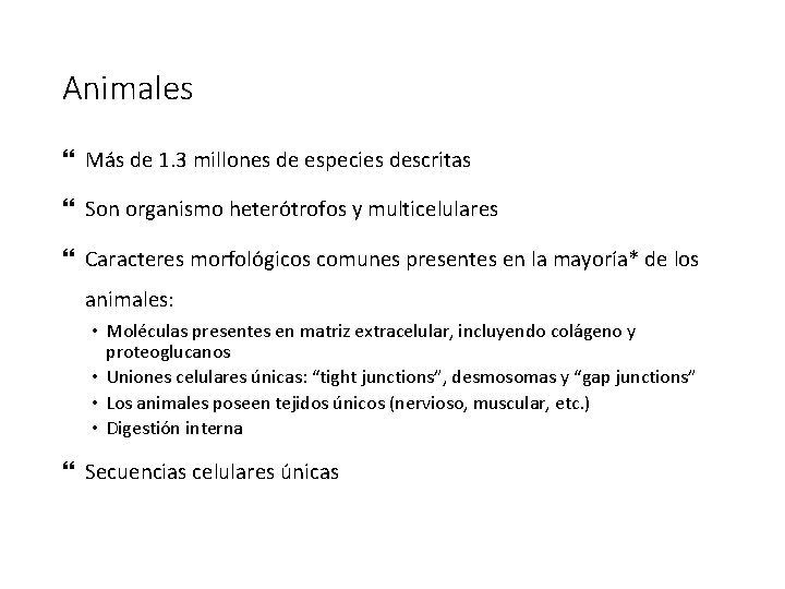 Animales Más de 1. 3 millones de especies descritas Son organismo heterótrofos y multicelulares