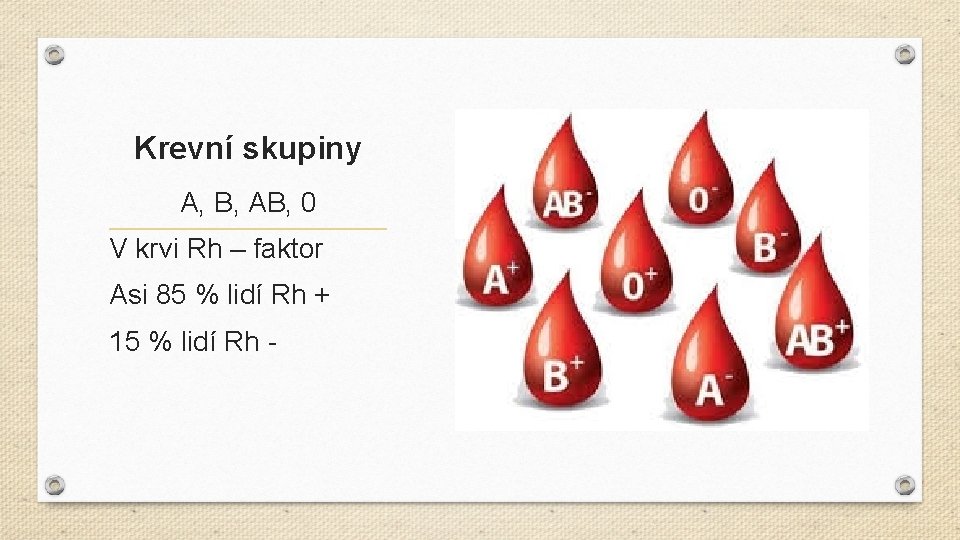 Krevní skupiny A, B, AB, 0 V krvi Rh – faktor Asi 85 %