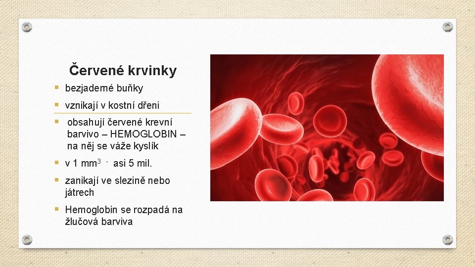 Červené krvinky § bezjaderné buňky § vznikají v kostní dřeni § obsahují červené krevní