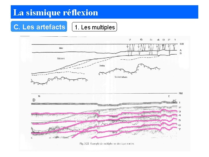 La sismique réflexion C. Les artefacts 1. Les multiples 