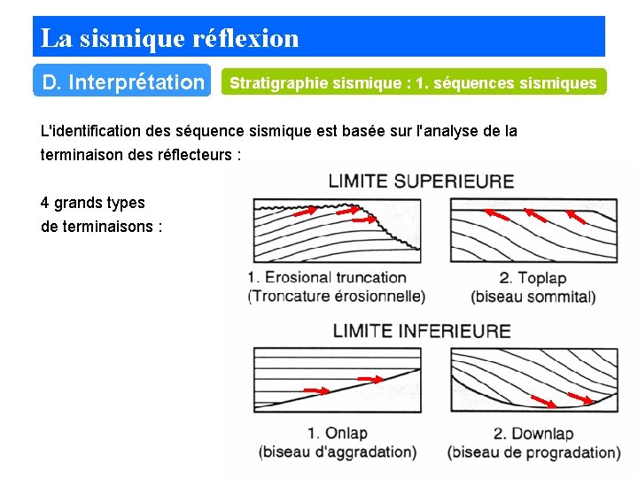 La sismique réflexion D. Interprétation Stratigraphie sismique : 1. séquences sismiques L'identification des séquence