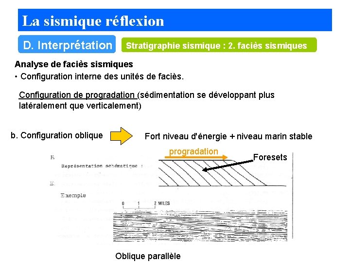 La sismique réflexion D. Interprétation Stratigraphie sismique : 2. faciès sismiques Analyse de faciès